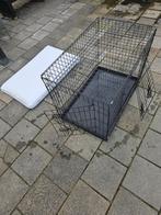 Hondenbanche, Ophalen of Verzenden