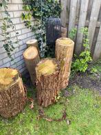 Boomstam, Minder dan 3 m³, Ophalen of Verzenden