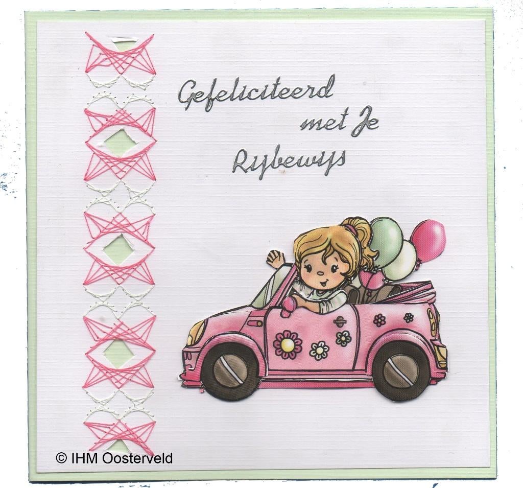 3D kaart Rijbewijs, Ophalen of Verzenden, Nieuw, Overige thema's