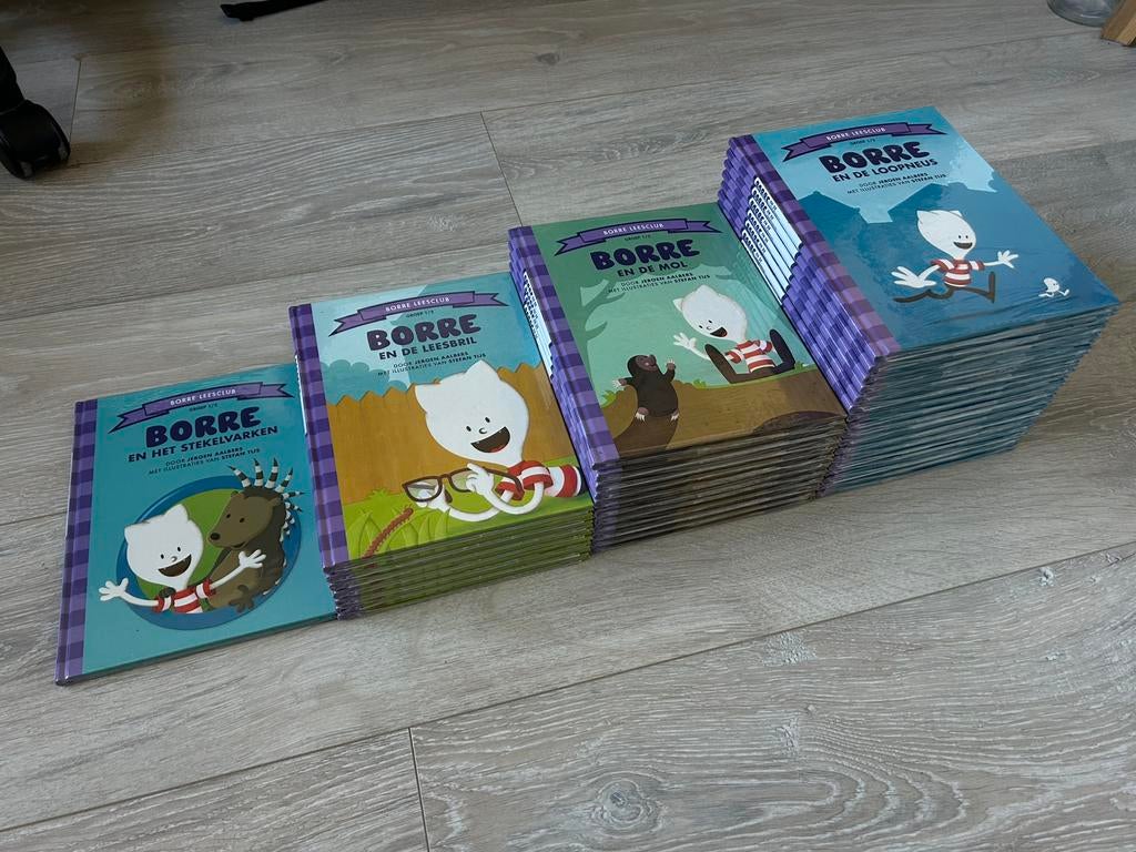 Borre Boekjes - Groep 1/2 (NIEUW!), Ophalen of Verzenden, Zo goed als nieuw, 3 tot 4 jaar