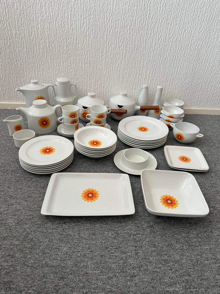 Vintage; Hutschenreuther Novum servies met bloemmotief, Ophalen