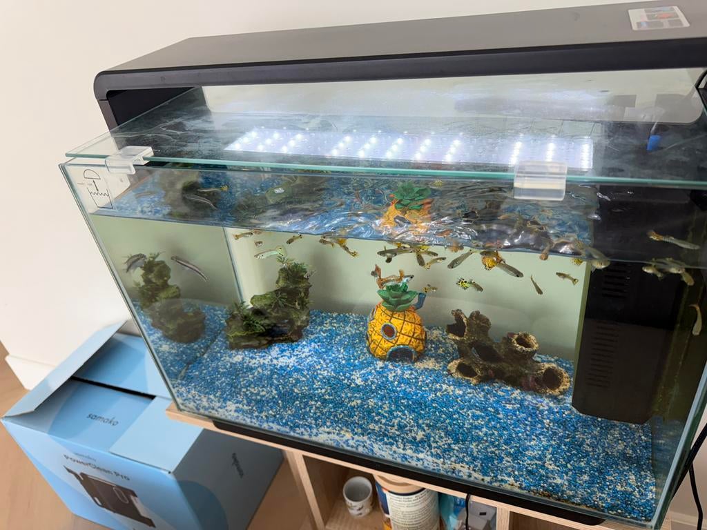 Aquarium superfish home 65, Dieren en Toebehoren, Vissen | Aquaria en Toebehoren, Ophalen, Zo goed als nieuw