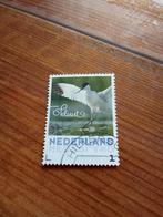 Nederlandse postzegel Kluut - Gestempeld, Ophalen of Verzenden