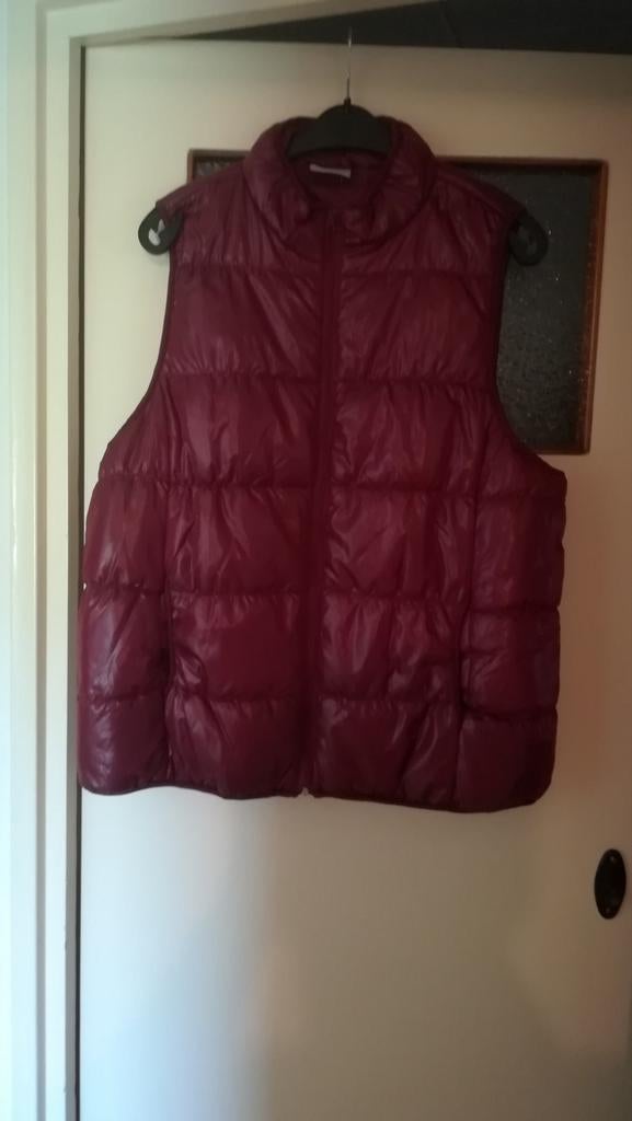 Bordeauxrode bodywarmer, Ophalen, Zo goed als nieuw, Maat 46/48 (XL) of groter