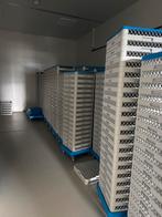 Kunststof kratten   vaatwasser spoelkrat- NSF gecertificeerd, Ophalen, A, A, A