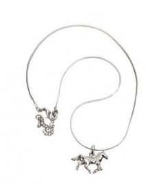 paarden ketting, Dieren en Toebehoren, Paarden en Pony's | Overige Paardenspullen, *, Verzenden, *, *