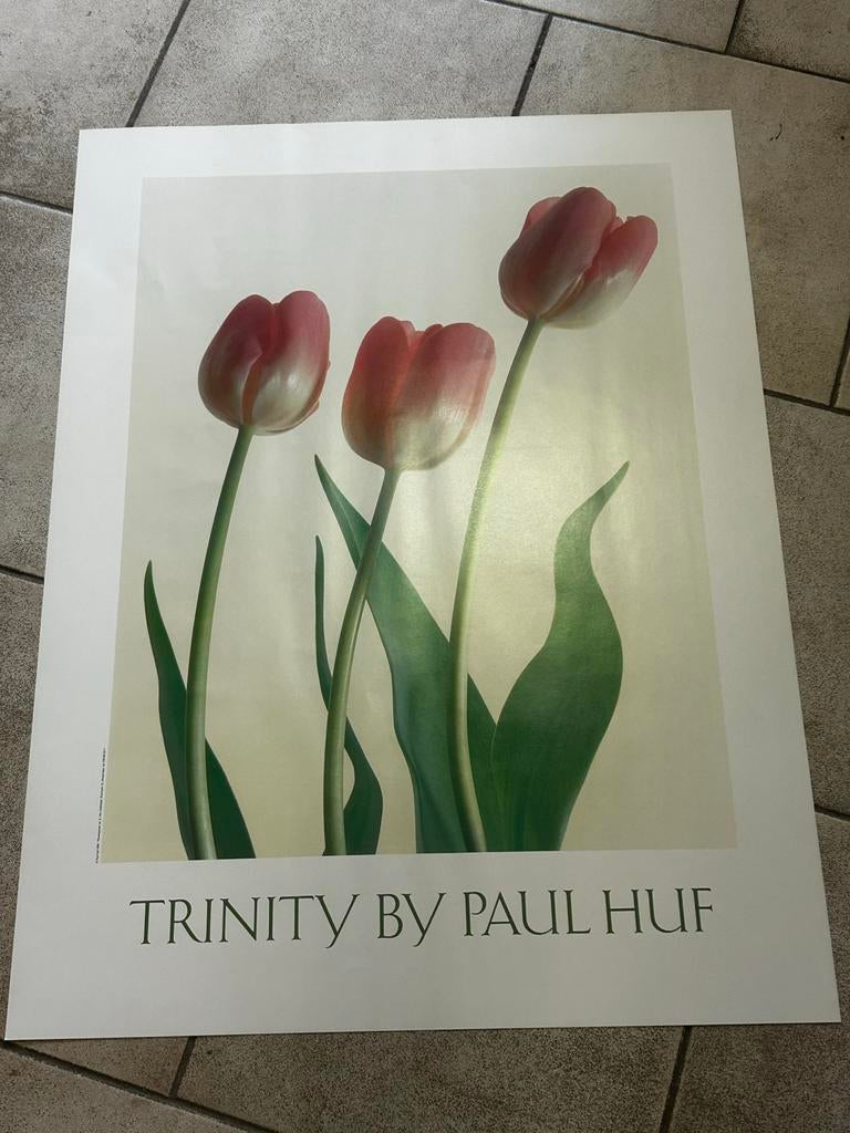 Trinity by Paul Huf poster, Ophalen of Verzenden