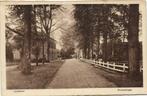 Lunteren - Dorpsstraat - fiets - ongelopen, Ophalen of Verzenden, 1920 tot 1940, Ongelopen, Gelderland