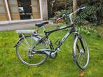 Multi Cycle Synergy-C E-bike (Full Carbon, Maat L), Fietsen en Brommers, Elektrische fietsen, Ophalen of Verzenden