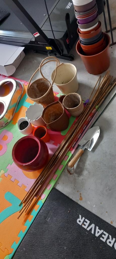 Plats pots, Ophalen of Verzenden, Kweeklamp