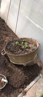 Gietijzeren kuip, Tuin en Terras, Ophalen, Gebruikt, Rond, Metaal