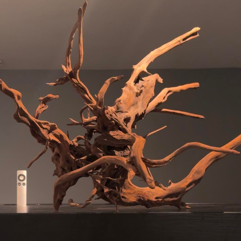 Enorm stuk Spiderwood / Driftwood / Kienhout, Hout Decoratie, Dieren en Toebehoren, Vissen | Aquaria en Toebehoren, Ophalen of Verzenden
