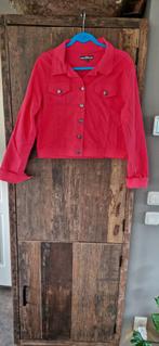 Roze spijkerjasje Musthave, Ophalen of Verzenden, Zo goed als nieuw, Maat 46/48 (XL) of groter, Roze