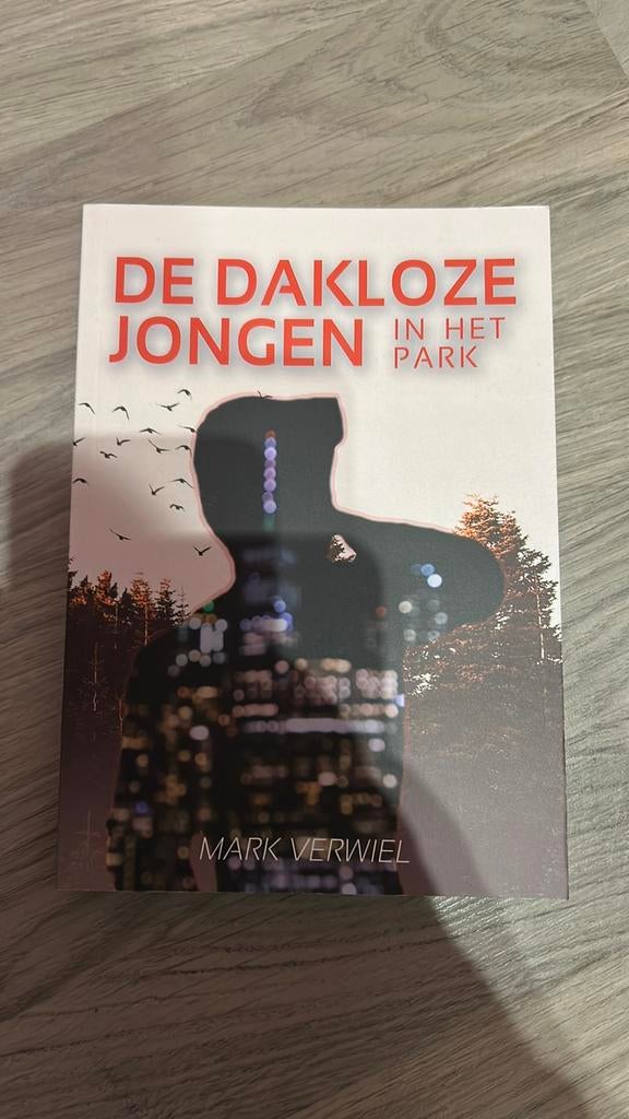 Mark Verwiel - De dakloze jongen in het park, Ophalen of Verzenden, Zo goed als nieuw