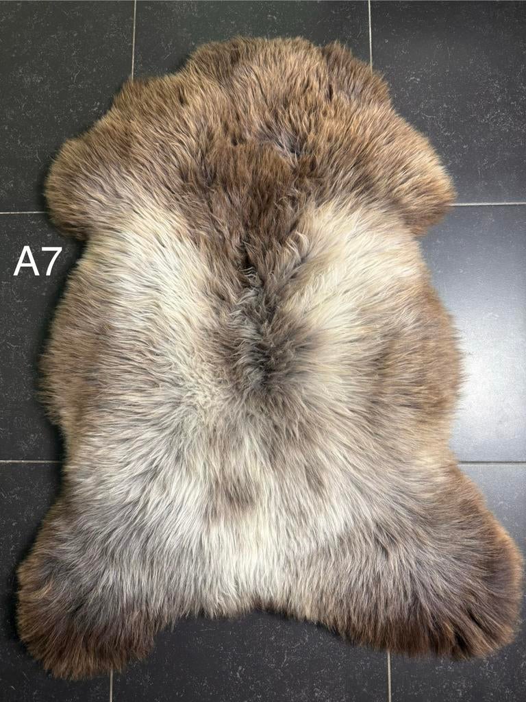 Veel! Unieke Kleuren Schapenvachten, Ophalen of Verzenden, Nieuw