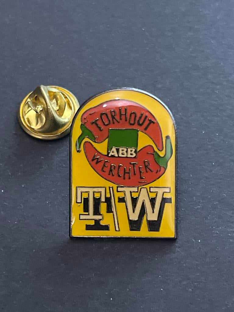 Rock Werchter Torhout ABB TW Pin Badge Speldje Festival