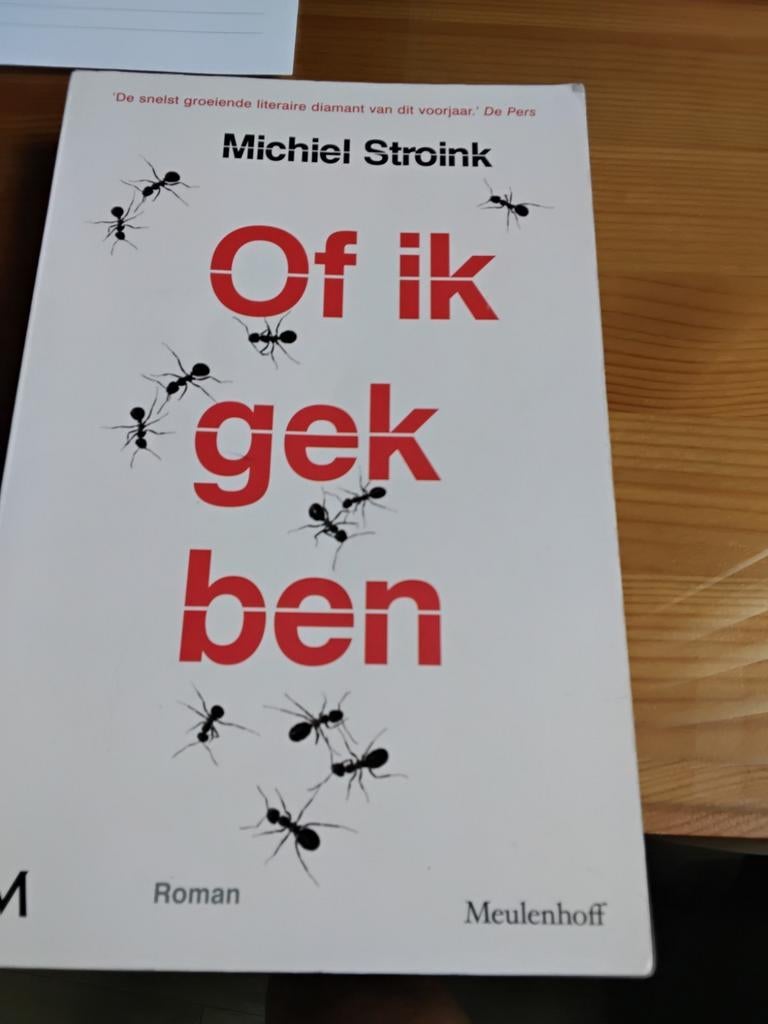 Michiel Stroink - Of ik gek ben, Boeken, Literatuur, Zo goed als nieuw, Ophalen of Verzenden