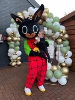 Bing Mascotte Kostuum - Kinderhelden, Ophalen, Zo goed als nieuw, Kostuum, Verjaardag