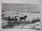 M01 Terschelling - Huifkar Bosplaat - 1960, Verzenden, 1960 tot 1980, Gelopen, Waddeneilanden