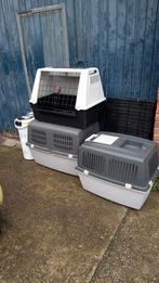 4 Vervoersboxen en 1 voedselcontainer, Dieren en Toebehoren, Ophalen, Zo goed als nieuw