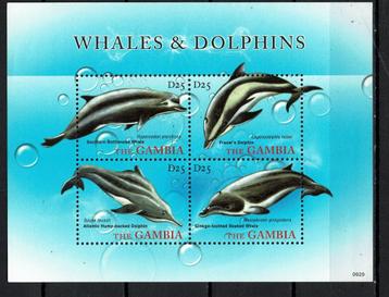 gambia  pf blok dolfijnen zeeleven dolphins zeezoogdieren 1 beschikbaar voor biedingen