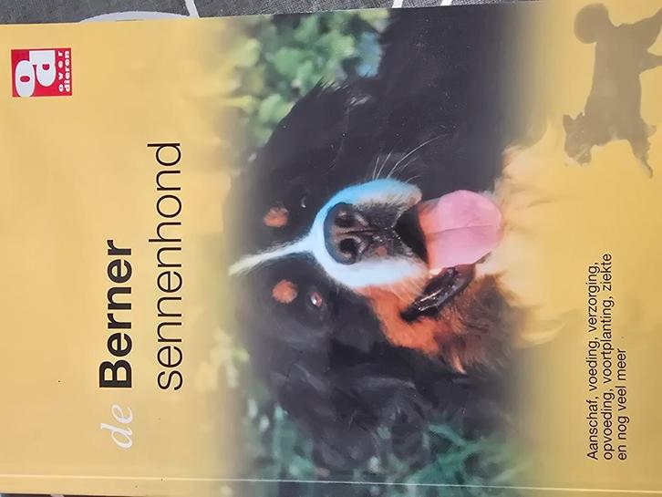 De Berner Sennenhond, Boeken, Dieren en Huisdieren, Zo goed als nieuw, Honden, Ophalen of Verzenden