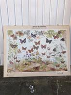 Oude vintage Engelse schoolplaat. Butterflies vlinders, Natuur en Biologie, Ophalen of Verzenden