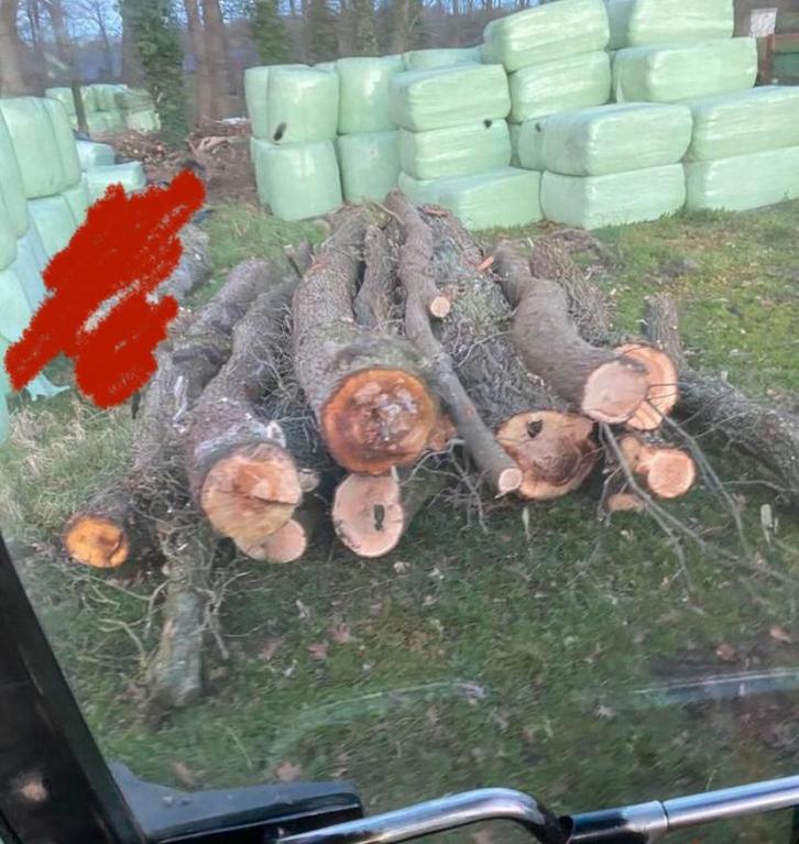 Zaaghout brandhout kachelhout tekoop, Doe-het-zelf en Verbouw, Hout en Planken, Zo goed als nieuw, Overige houtsoorten, Minder dan 200 cm