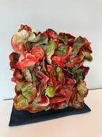 Stephan Gross - Salad 2016, Ophalen of Verzenden