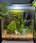 Superfish qubiq 60, Ophalen, Leeg aquarium