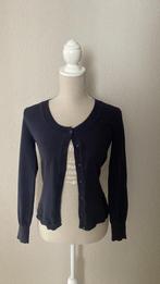 Vest Blauw Miss Etam Maat S, Maat 38/40 (M), Blauw, Ophalen of Verzenden, Zo goed als nieuw