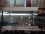 Aquarium 60 cm met tl verlichting, Ophalen, Nieuw, Leeg aquarium
