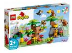Drie sets duplo damen, Ophalen of Verzenden, Gebruikt, Complete set, Duplo