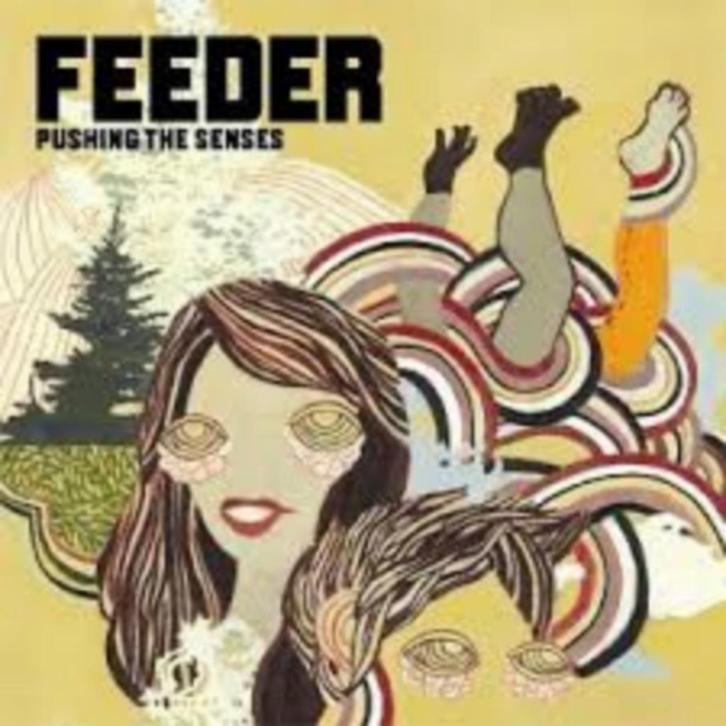 FEEDER - Pushing the senses cd/dvd, Cd's en Dvd's, Cd's | Pop, Zo goed als nieuw, Ophalen of Verzenden