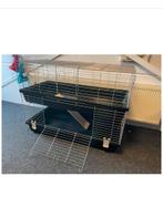 Nieuw in doos groot konijnenhok dubbel 1m20 overcompleet, Dieren en Toebehoren, Knaagdieren en Konijnen | Hokken en Kooien, 110 cm of meer