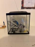 Mooi aquarium met decoratie, Ophalen, Gebruikt, Leeg aquarium