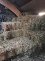 Mooi onkruidvrij hooi, Dieren en Toebehoren, Dierenvoeding, Ophalen, Vee