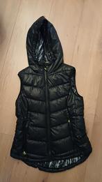 H&M Bodywarmer Maat 38, Kleding | Dames, H&M, Ophalen of Verzenden, Zo goed als nieuw