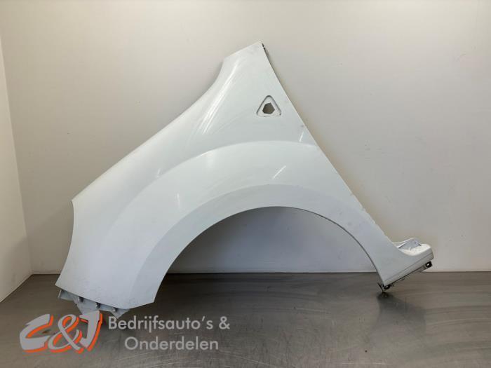 Scherm links-voor van een Renault Kangoo, Auto-onderdelen, Carrosserie en Plaatwerk, Renault, Gebruikt, 3 maanden garantie, Ophalen of Verzenden