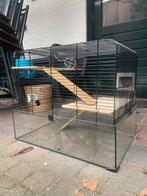 Hamster hok (deels glas), Dieren en Toebehoren, Gebruikt, Minder dan 75 cm, Ophalen, Minder dan 60 cm