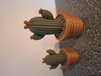 3d geprint cactussen, Ophalen of Verzenden, Halfschaduw, Minder dan 100 cm