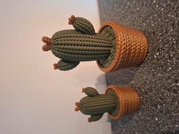 3d geprint cactussen beschikbaar voor biedingen