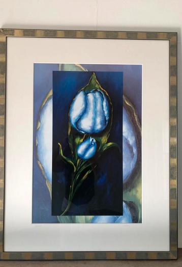 Adry Schilderij ( zeefdruk) 97 x 76 cm beschikbaar voor biedingen