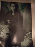 Green Day poster, Gebruikt, Poster, Artwork of Schilderij, Ophalen