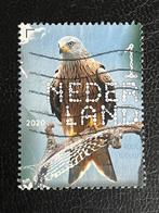 3126 NL 2020 - Beleef Natuur- Roofvogels en Uilen gestempeld, Postzegels en Munten, Postzegels | Nederland, Na 1940, Ophalen, Gestempeld