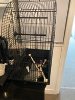 Volgel kooi jaar oud zwart met toe behoren., Dieren en Toebehoren, Ophalen of Verzenden, Zo goed als nieuw, Metaal, Vogelkooi