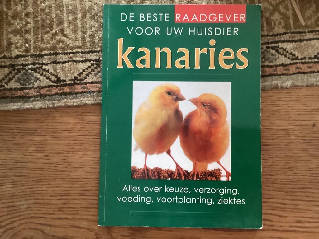 Kanaries, Ophalen of Verzenden, Zo goed als nieuw