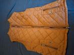 Nieuwe bodywarmer dames, te klein besteld. Een erg mooie kle, Kleding | Dames, Bodywarmers, Ophalen of Verzenden, Nieuw, Maat 38/40 (M)