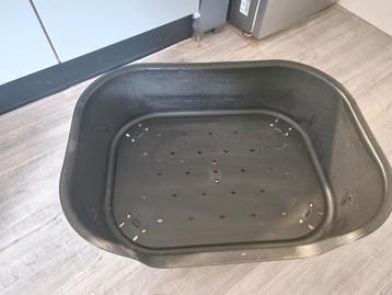 Honden mand ik heb er 2  beschikbaar voor biedingen