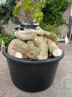 Wilg haard houd, Tuin en Terras, Haardhout, Minder dan 3 m³, Ophalen of Verzenden